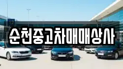 전남 해남군 문내면 렌트카,단기렌트카,장기렌트카,중고차,중고차매매,중고차매입