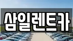 전남 해남군 삼산면 렌트카,단기렌트카,장기렌트카,중고차,중고차매매,중고차매입