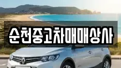 순천중고차매매상사