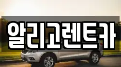 알리고렌트카