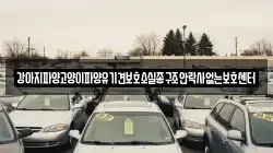 강아지파양고양이파양유기견보호소실종구조안락사없는보호센터