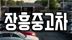 장흥중고차