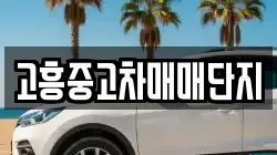 고흥중고차매매단지