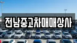 전라남도 고흥군 점암면 렌트카,단기렌트카,장기렌트카,중고차,중고차매매,중고차매입