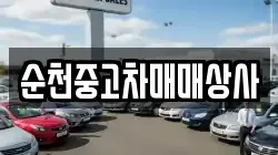 순천중고차매매상사