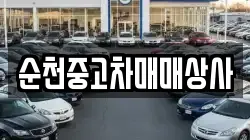 순천중고차매매상사