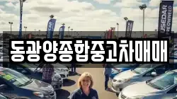 동광양종합중고차매매