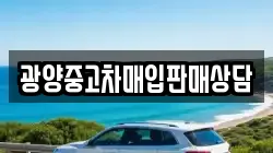 광양중고차매입판매상담