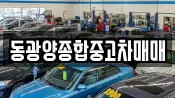 동광양종합중고차매매