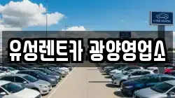 전라남도 광양시 옥룡면 렌트카,단기렌트카,장기렌트카,중고차,중고차매매,중고차매입