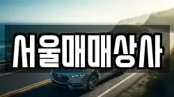 서울매매상사