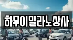 전라남도 나주시 다시면 렌트카,단기렌트카,장기렌트카,중고차,중고차매매,중고차매입