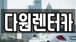 다원렌터카