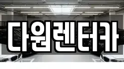 다원렌터카