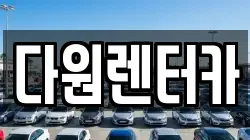 다원렌터카