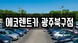 전라남도 담양군 고서면 렌트카,단기렌트카,장기렌트카,중고차,중고차매매,중고차매입