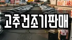 고추건조기판매