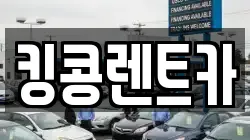 전라남도 담양군 렌트카,단기렌트카,장기렌트카,중고차,중고차매매,중고차매입