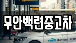 무안백련중고차