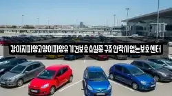 강아지파양고양이파양유기견보호소실종구조안락사없는보호센터