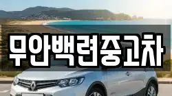무안백련중고차