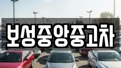 보성중앙중고차