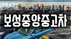 보성중앙중고차
