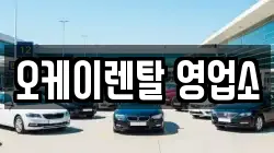 전라남도 보성군 미력면 렌트카,단기렌트카,장기렌트카,중고차,중고차매매,중고차매입