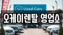 전라남도 보성군 보성읍 렌트카,단기렌트카,장기렌트카,중고차,중고차매매,중고차매입