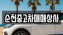 순천중고차매매상사