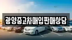 광양중고차매입판매상담