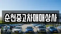 순천중고차매매상사