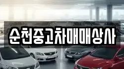 순천중고차매매상사