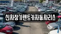 신차장기렌트카자동차리스