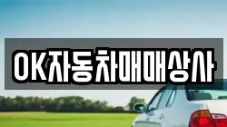 OK자동차매매상사