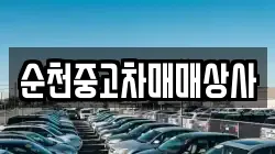 순천중고차매매상사