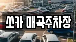 쏘카 매곡주차장