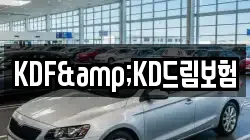 KDF&KD드림보험