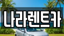 나라렌트카