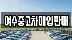 전라남도 여수시 오천동 렌트카,단기렌트카,장기렌트카,중고차,중고차매매,중고차매입