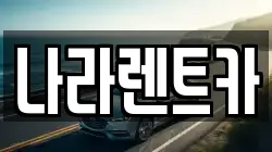 나라렌트카