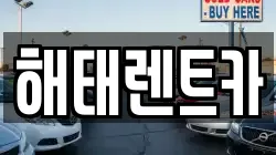 전라남도 영광군 백수읍 렌트카,단기렌트카,장기렌트카,중고차,중고차매매,중고차매입