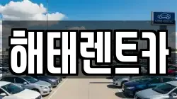 전라남도 영광군 법성면 렌트카,단기렌트카,장기렌트카,중고차,중고차매매,중고차매입