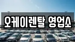 전라남도 영암군 렌트카,단기렌트카,장기렌트카,중고차,중고차매매,중고차매입