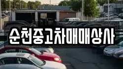 전라남도 완도군 금일읍 렌트카,단기렌트카,장기렌트카,중고차,중고차매매,중고차매입