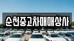 순천중고차매매상사
