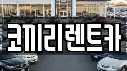 코끼리렌트카