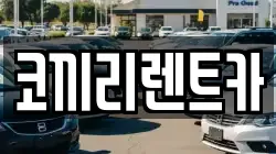 코끼리렌트카