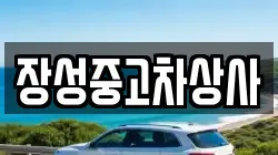 장성중고차상사