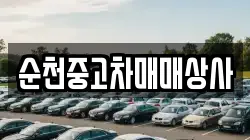 순천중고차매매상사